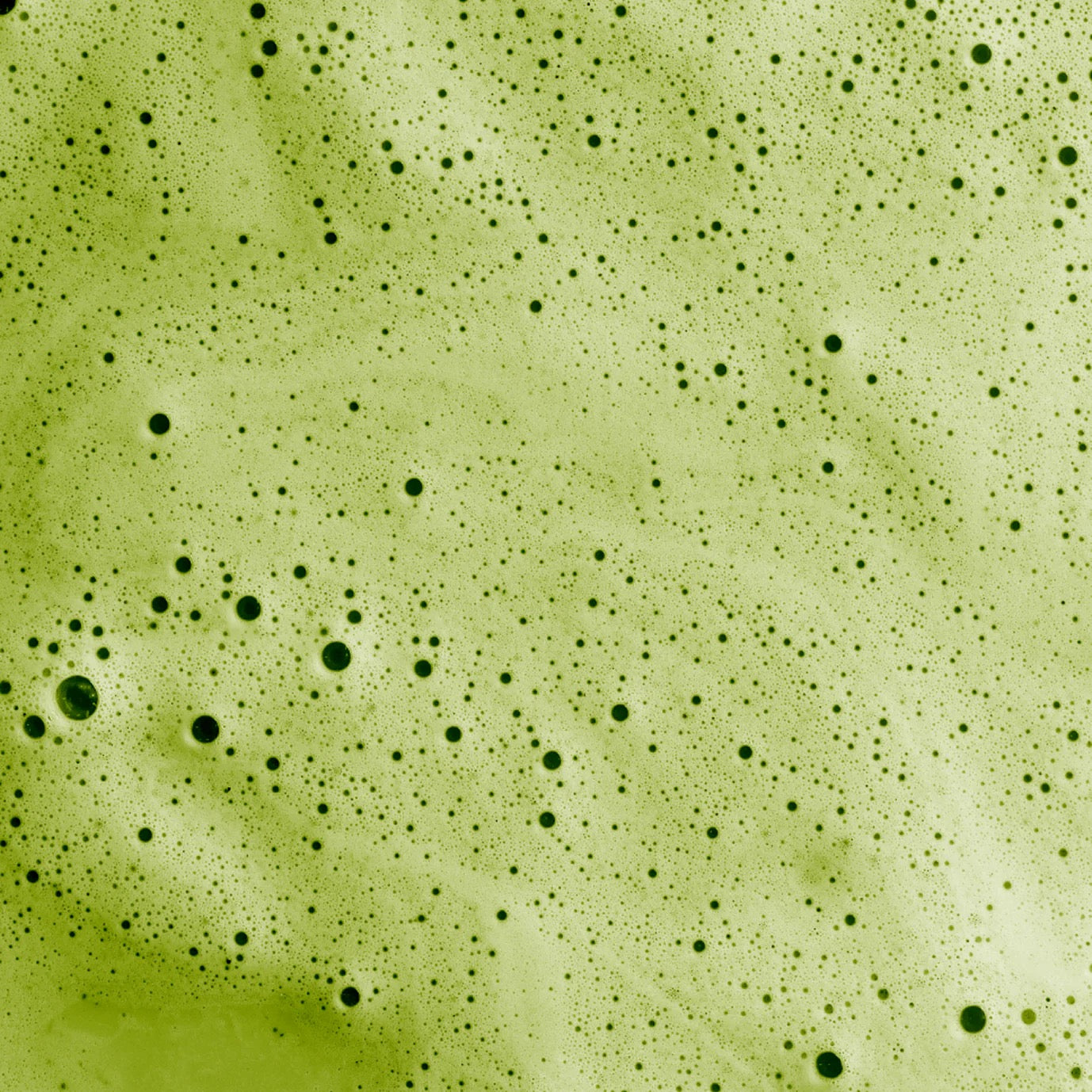 Matcha Latte - Numorning (nouveauté)