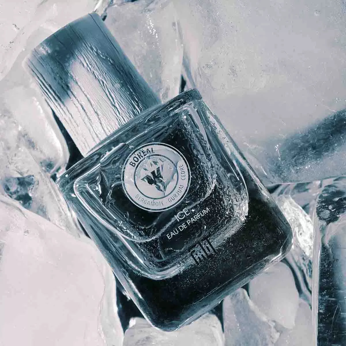 Eau de parfum Ice Boréal - Fiilit Parfum