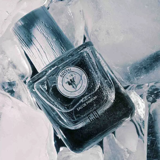 Eau de parfum Ice Boréal - Fiilit Parfum