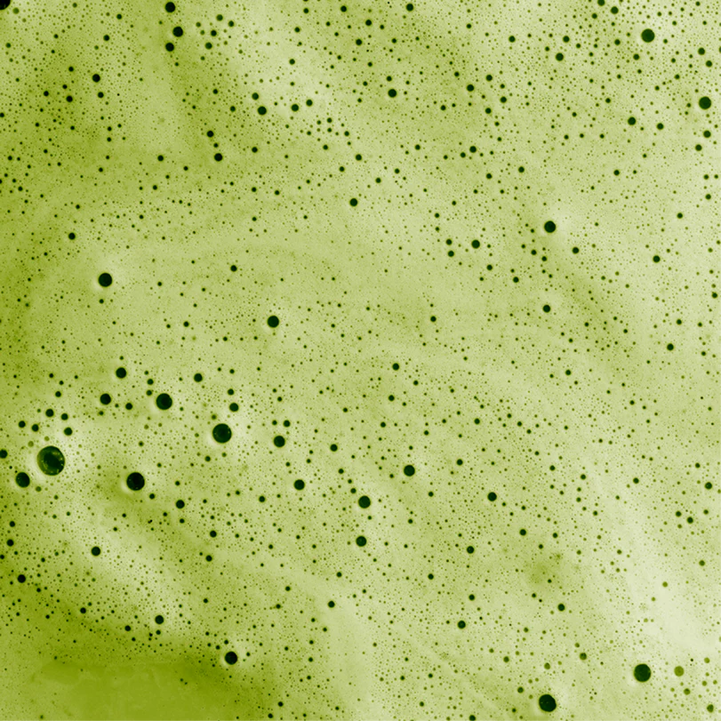 Le Matcha - Matcha Cérémonie (Nouveauté en précommande)
