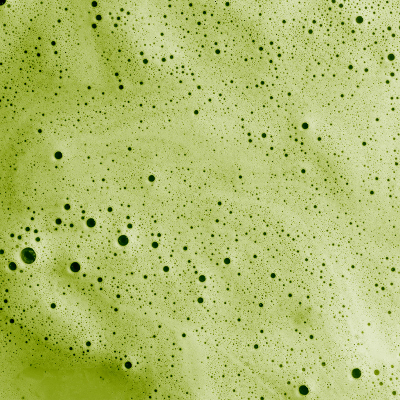 Matcha Latte - Numorning (en précommande)